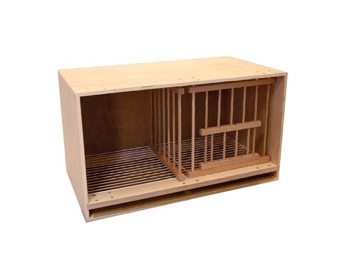 Witwer- und Zuchtzelle mit Drahtboden