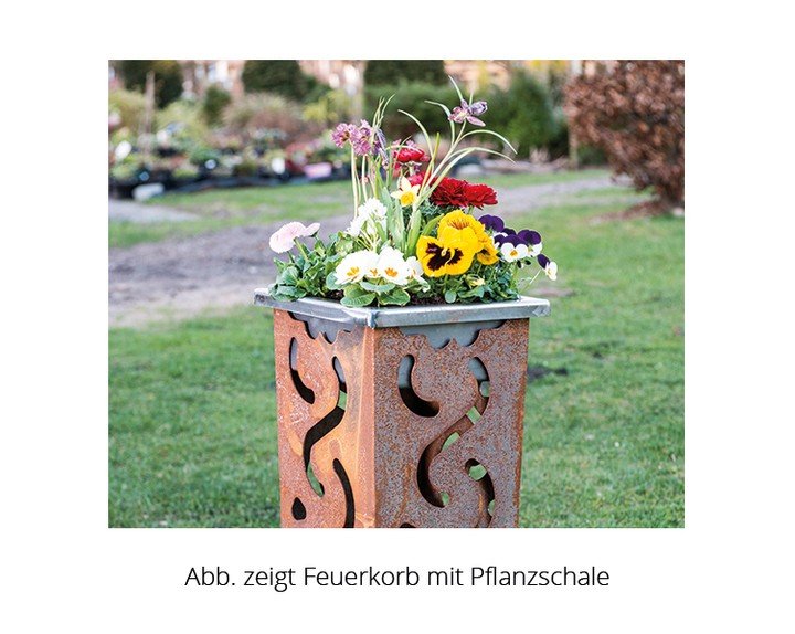 Einsatz für Feuerkorb Bonsai- FE0000 471